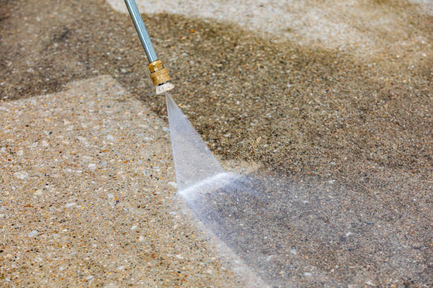 Animal Enclosure Cleaning in Denver, PA