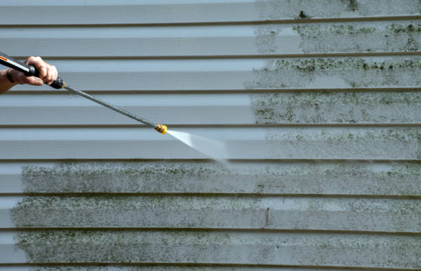 Best Sidewalk and Walkway Cleaning  in Denver, PA